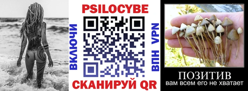 купить наркотик  Кяхта  Галлюциногенные грибы мухоморы 